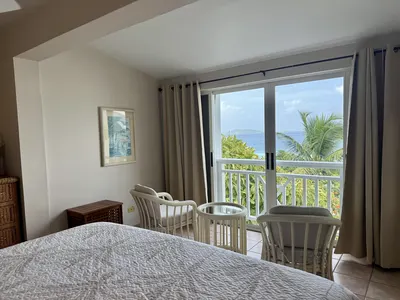 Bougainvillea Garden Suite — 1-bedroom villa in West End, Tortola, BVI